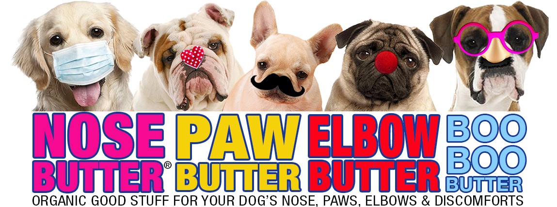 The Blissful Dog Blissful Elbow™ Butter Balm For Dog Elbow Calluses