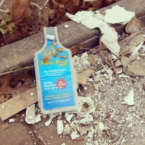 A Paint Brush cover that survived Hurricane Sandy in 2012.