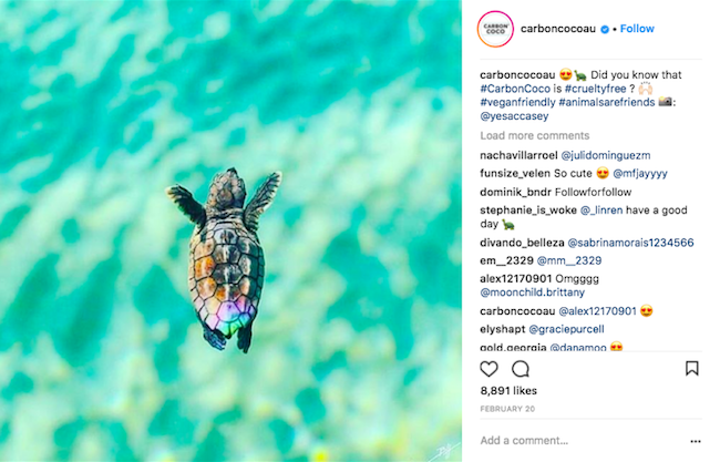 Instagram Marketing - Carbon Coco