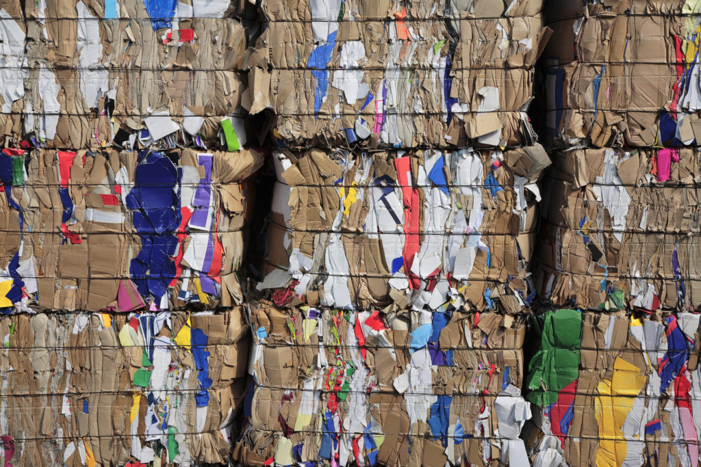 Recycled Cardboard Waste