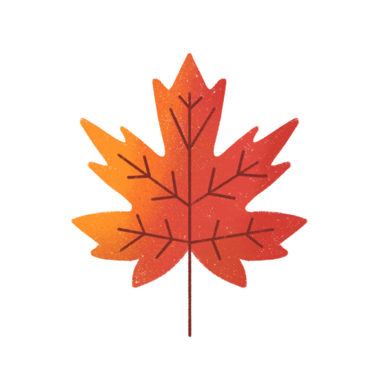 Cheapest Way to Ship to Canada from US ShipStation