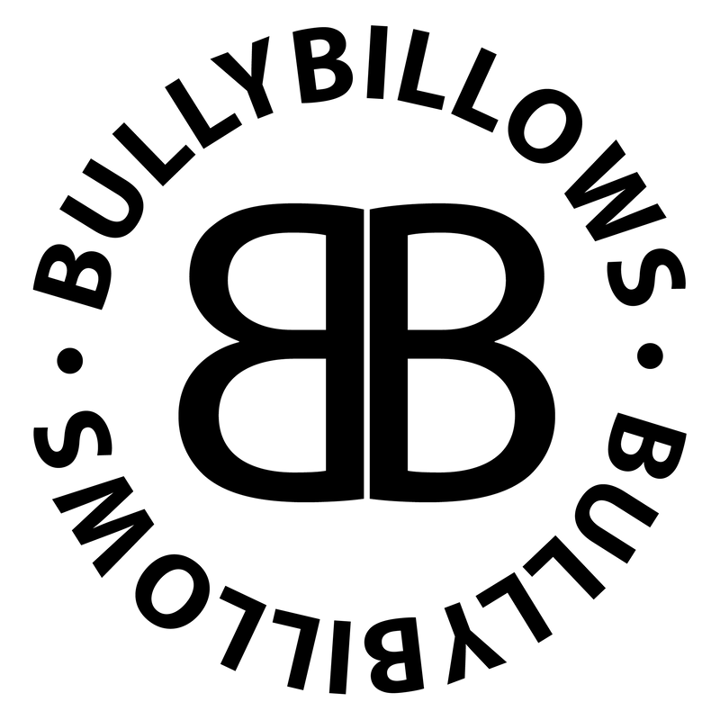 BULLY BILLOWS LOGO