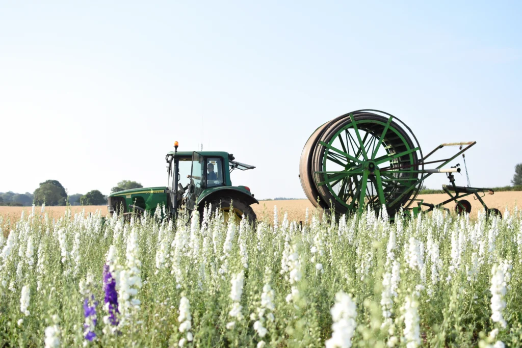shropshire petals reduced shipping errors