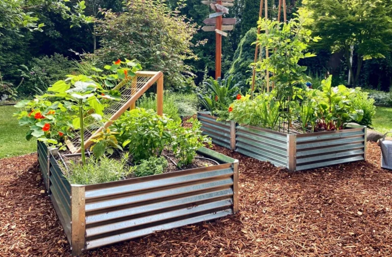 metal garden beds shipstation