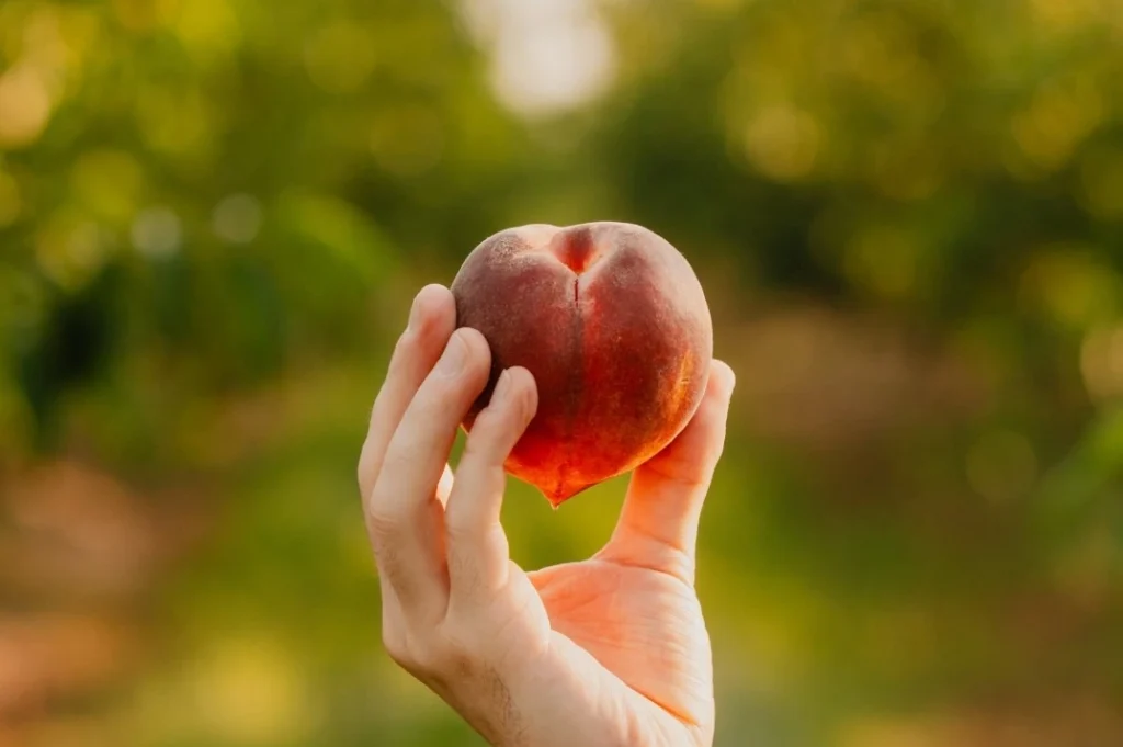 the peach truck shipstation automation rules