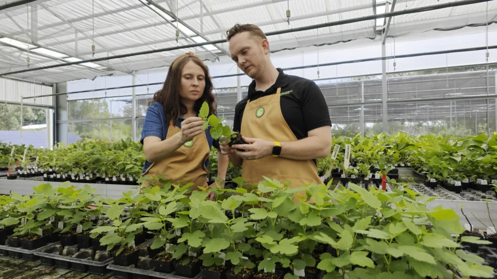 wellspring gardens family business